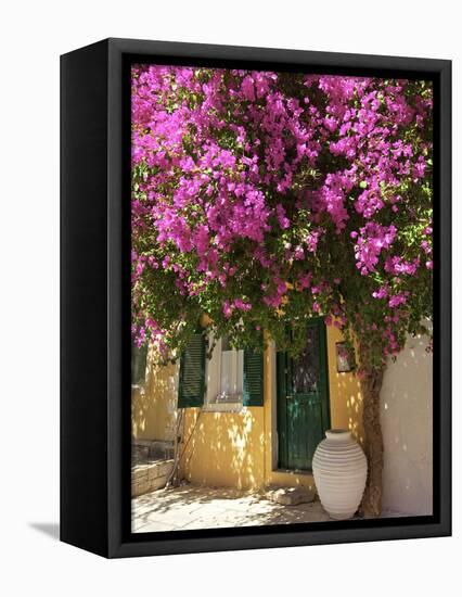 House Covered in Bougainvillea, Paxos, the Ionian Islands, Greek Islands, Greece, Europe-Neil Farrin-Framed Premier Image Canvas