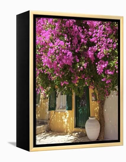 House Covered in Bougainvillea, Paxos, the Ionian Islands, Greek Islands, Greece, Europe-Neil Farrin-Framed Premier Image Canvas