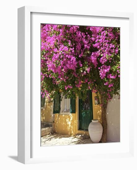 House Covered in Bougainvillea, Paxos, the Ionian Islands, Greek Islands, Greece, Europe-Neil Farrin-Framed Photographic Print