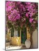 House Covered in Bougainvillea, Paxos, the Ionian Islands, Greek Islands, Greece, Europe-Neil Farrin-Mounted Photographic Print