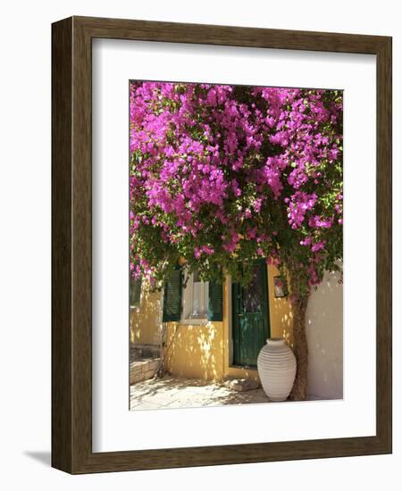 House Covered in Bougainvillea, Paxos, the Ionian Islands, Greek Islands, Greece, Europe-Neil Farrin-Framed Photographic Print