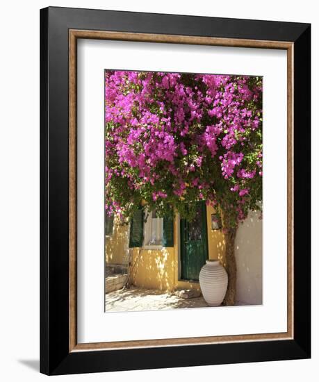 House Covered in Bougainvillea, Paxos, the Ionian Islands, Greek Islands, Greece, Europe-Neil Farrin-Framed Photographic Print