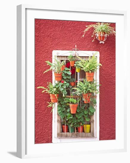 House Detail, Guadalajara, Mexico-Charles Sleicher-Framed Photographic Print