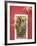 House Detail, Guadalajara, Mexico-Charles Sleicher-Framed Photographic Print