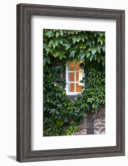 House, Detail, Window, Covered-Nora Frei-Framed Photographic Print