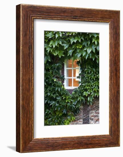 House, Detail, Window, Covered-Nora Frei-Framed Photographic Print