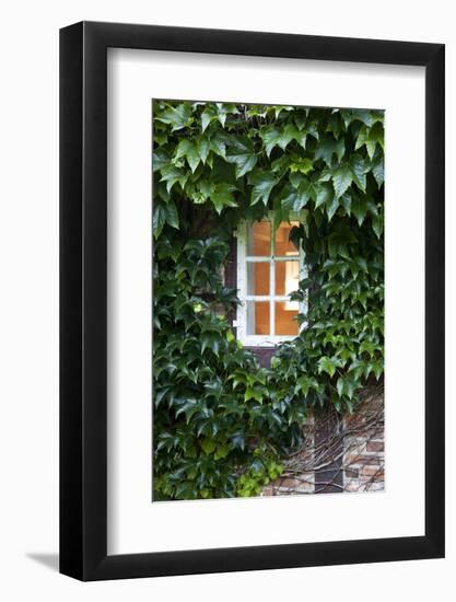 House, Detail, Window, Covered-Nora Frei-Framed Photographic Print