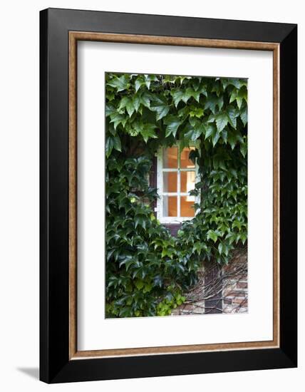House, Detail, Window, Covered-Nora Frei-Framed Photographic Print