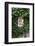 House, Detail, Window, Covered-Nora Frei-Framed Photographic Print