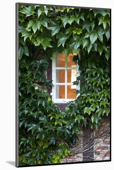 House, Detail, Window, Covered-Nora Frei-Mounted Photographic Print