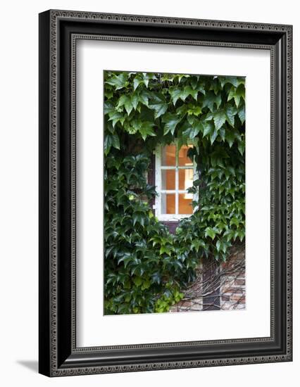 House, Detail, Window, Covered-Nora Frei-Framed Photographic Print