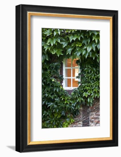 House, Detail, Window, Covered-Nora Frei-Framed Photographic Print