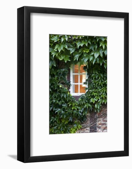 House, Detail, Window, Covered-Nora Frei-Framed Photographic Print