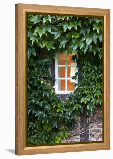 House, Detail, Window, Covered-Nora Frei-Framed Premier Image Canvas