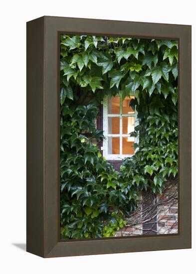 House, Detail, Window, Covered-Nora Frei-Framed Premier Image Canvas