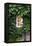 House, Detail, Window, Covered-Nora Frei-Framed Premier Image Canvas