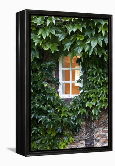 House, Detail, Window, Covered-Nora Frei-Framed Premier Image Canvas