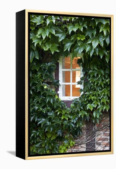 House, Detail, Window, Covered-Nora Frei-Framed Premier Image Canvas