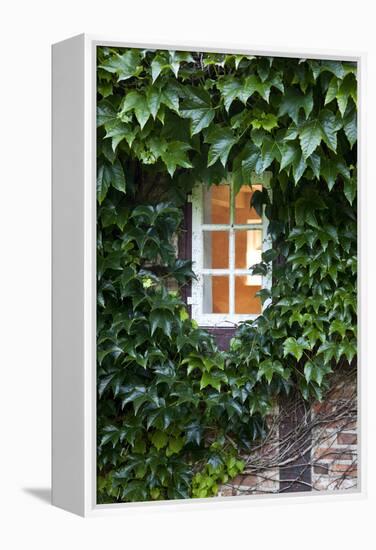 House, Detail, Window, Covered-Nora Frei-Framed Premier Image Canvas