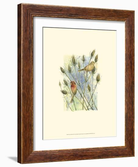 House Finches-Janet Mandel-Framed Premium Giclee Print