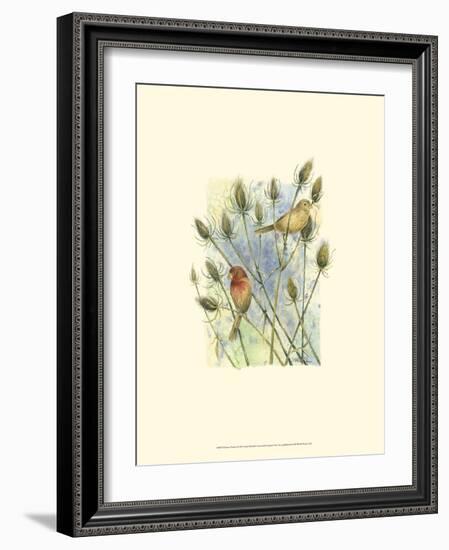 House Finches-Janet Mandel-Framed Premium Giclee Print