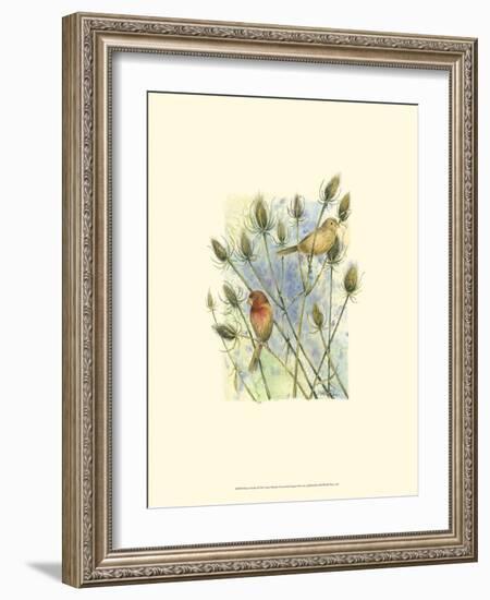 House Finches-Janet Mandel-Framed Art Print