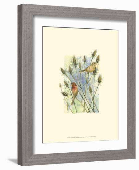 House Finches-Janet Mandel-Framed Art Print