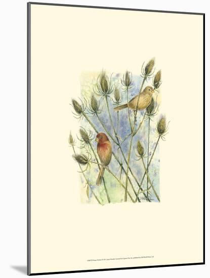 House Finches-Janet Mandel-Mounted Art Print