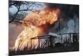 Premium Photographic Print