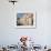 House Fronts and Laundry, Trapani, Sicily, Italy-Ken Gillham-Framed Photographic Print displayed on a wall