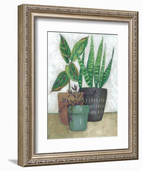 House Garden I-Chariklia Zarris-Framed Art Print