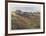 House in a Field-David Cain-Framed Collectable Print