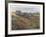 House in a Field-David Cain-Framed Collectable Print