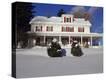 Stretched Canvas Print