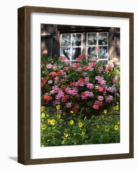 House in Gerstruben Near Oberstdorf, Allgau, Bavaria, Germany, Europe-Hans Peter Merten-Framed Photographic Print