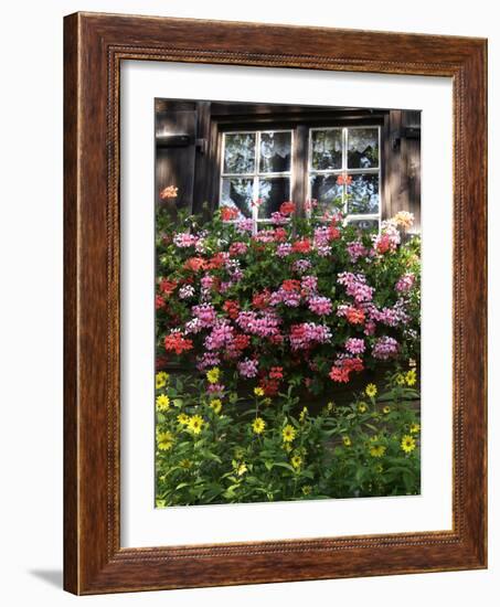 House in Gerstruben Near Oberstdorf, Allgau, Bavaria, Germany, Europe-Hans Peter Merten-Framed Photographic Print