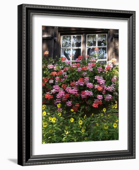 House in Gerstruben Near Oberstdorf, Allgau, Bavaria, Germany, Europe-Hans Peter Merten-Framed Photographic Print