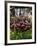 House in Gerstruben Near Oberstdorf, Allgau, Bavaria, Germany, Europe-Hans Peter Merten-Framed Photographic Print