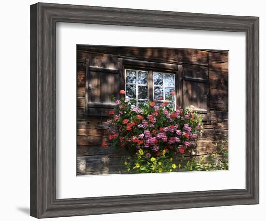 House in Gerstruben Near Oberstdorf, Allgau, Bavaria, Germany, Europe-Hans Peter Merten-Framed Photographic Print