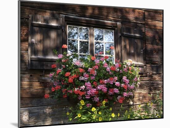 House in Gerstruben Near Oberstdorf, Allgau, Bavaria, Germany, Europe-Hans Peter Merten-Mounted Photographic Print