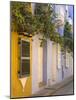 House in Old Walled City District, Cartagena City, Bolivar State, Colombia, South America-Richard Cummins-Mounted Photographic Print