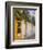 House in Old Walled City District, Cartagena City, Bolivar State, Colombia, South America-Richard Cummins-Framed Photographic Print