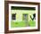 House in Pampatar City, Isla Margarita, Nueva Esparta State, Venezuela, South America-Richard Cummins-Framed Photographic Print