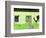 House in Pampatar City, Isla Margarita, Nueva Esparta State, Venezuela, South America-Richard Cummins-Framed Photographic Print