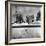 House in the Country, as Seen from Train Window-Walker Evans-Framed Photographic Print