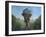 House in the Sky-Sulaiman Almawash-Framed Photographic Print