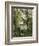 House in the Trees, Auvers-Paul Cézanne-Framed Giclee Print