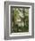 House in the Trees, Auvers-Paul Cézanne-Framed Giclee Print