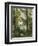 House in the Trees, Auvers-Paul Cézanne-Framed Giclee Print