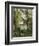 House in the Trees, Auvers-Paul Cézanne-Framed Giclee Print